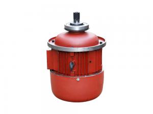 3.0KW主起升电机